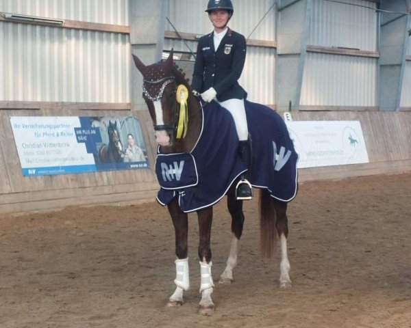 dressage horse Bentley Sk (Hanoverian, 2018, from Callaho's Benicio)