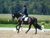 dressage horse Nutella Be Ready (German Riding Pony, 2016, from Nobel Nagano NRW)