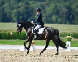 dressage horse Nutella Be Ready (German Riding Pony, 2016, from Nobel Nagano NRW)