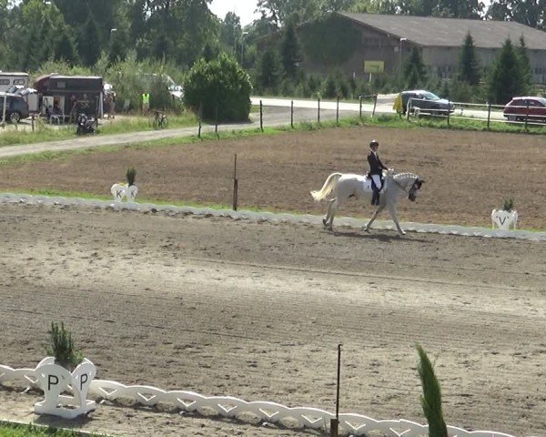 Reitturnier Dornbirn 2024
