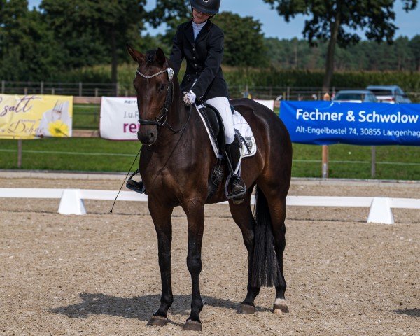 jumper Mara Ma B (German Sport Horse, 2020)