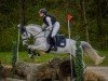 jumper Metallica Sgn (German Riding Pony, 2017, from Mason 4)