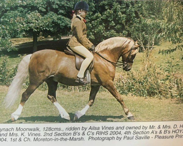 horse Mynach Moonwalk (Welsh-Pony (Section B), 1994, from Thornwood Royalist)