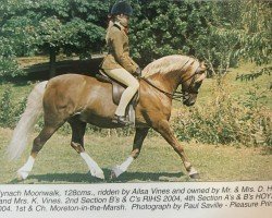 Pferd Mynach Moonwalk (Welsh Pony (Sek.B), 1994, von Thornwood Royalist)