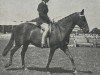 broodmare Sunsilk (Pony without race description,  , from Downland Freeman)