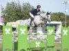 jumper Kallista de Baudignies (Belgium Sporthorse, 2016, from Greco Sitte)