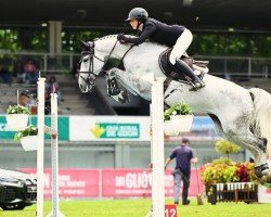 jumper Cissi (German Sport Horse, 2015, from Cristallo I)