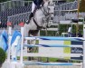 jumper California 151 (German Sport Horse, 2017, from Cellestial)