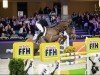 jumper Querido Vds (Belgian Warmblood, 2016, from Echo van het Spieveld)