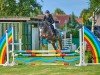 jumper Vunder vom Vesuv (Hanoverian, 2020, from Vesuv 35)