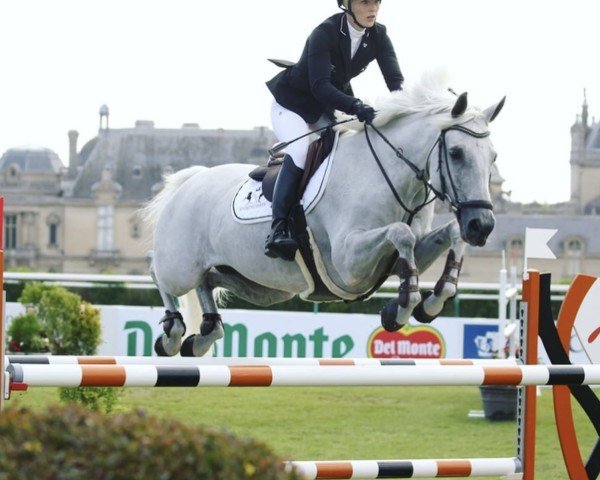 jumper Quarelie de La Louvet (Selle Français, 2004, from Nadir Di San Patrignano)