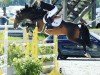 jumper K2 Django (Danish Warmblood, 2013, from Diarado)