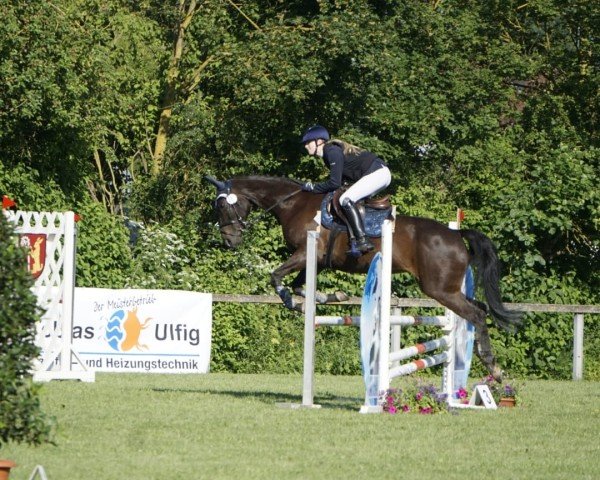 jumper Delishes Donnalina (German Sport Horse, 2008, from Daddy Cool)