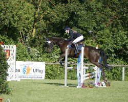 jumper Delishes Donnalina (German Sport Horse, 2008, from Daddy Cool)