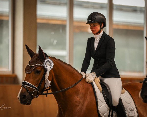 dressage horse Sweet Secret 10 (Hanoverian, 2018)