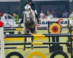 Deckhengst Jaguar van Paemel (Belgisches Warmblut, 2009, von Cicero Z van Paemel)