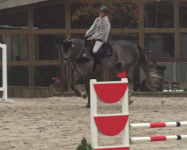 Reitturnier Leichlingen-Witzhelden 2024