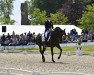 dressage horse Fabienne (Danish Warmblood, 2002, from Future Cup)