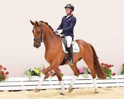 dressage horse Visions of Victory (Oldenburg, 2020, from Vitalis)