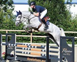 jumper Corpleasure SR (Oldenburg show jumper, 2020, from Cornet Obolensky)