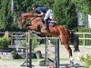 jumper Cassy Fly G (Oldenburg show jumper, 2018, from Chacfly PS)