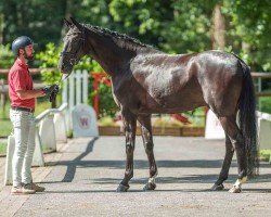 dressage horse De Beau's best HS (Rhinelander, 2020, from De Beau)