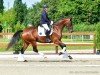 dressage horse Total Honey (Hanoverian, 2020, from Total Hope OLD)