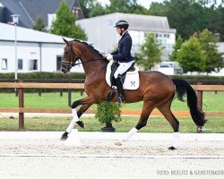 dressage horse Blossom (Hanoverian, 2020, from Callaho's Benicio)