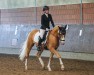 Dressurpferd Deinhard's Golden-Duke P (Deutsches Reitpony, 2020, von Deinhard B)