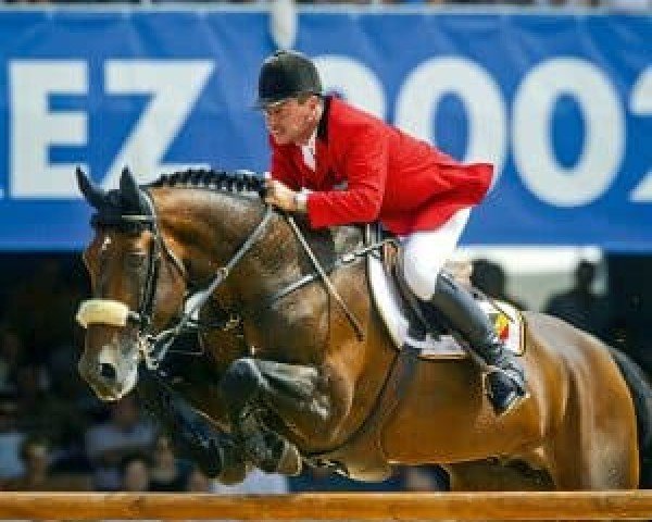 Pferd Nabab de Rêve (Belgisches Warmblut,  , von Quidam de Revel)