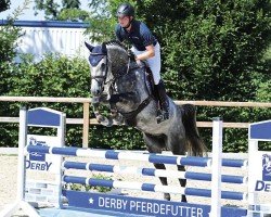 jumper Lacano E (Oldenburg show jumper, 2018, from Lacan 2)