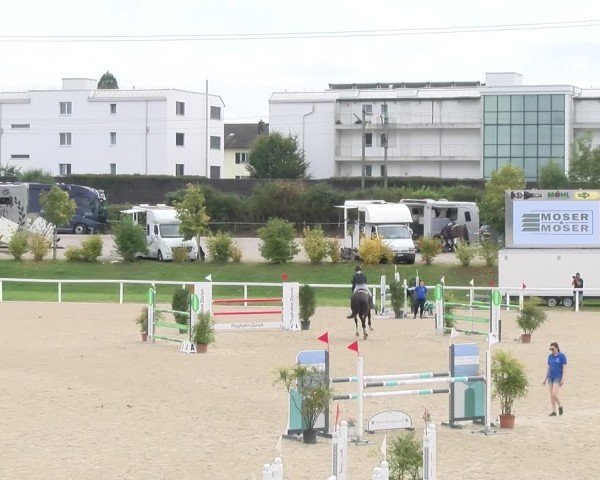 Reitturnier Bülach 2024