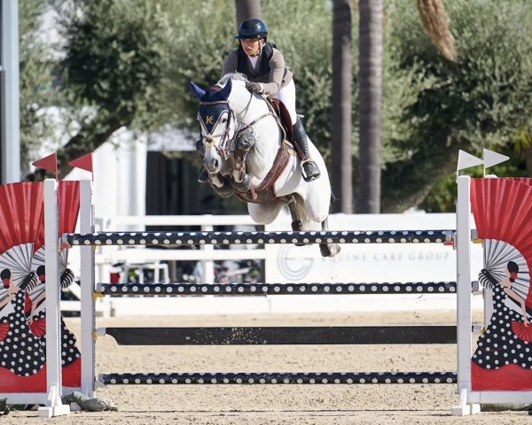 stallion Checkter (Oldenburg show jumper, 2013, from Cellestial)