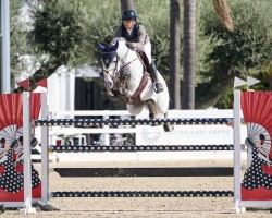 stallion K.i Checkter (Oldenburg show jumper, 2013, from Cellestial)