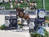 jumper Dolce Vita (Hanoverian, 2006, from Garant)