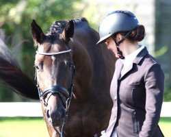 dressage horse Tomfei (German Sport Horse, 2019, from Birkhof's Topas FBW)