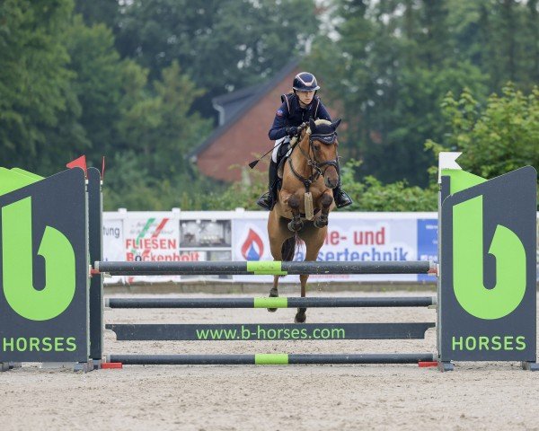 jumper Cassidy 69 (German Riding Pony, 2019, from Cooper County WE)