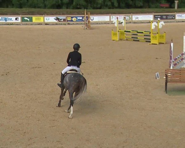 Reitturnier Tiefenhof/Opf. 2024