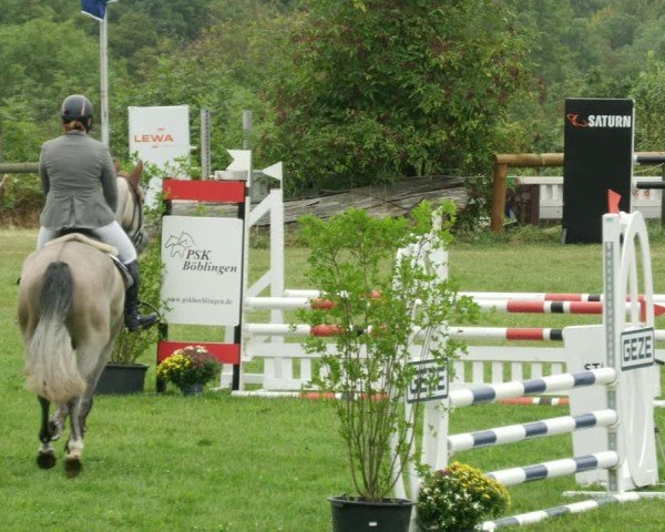 Reitturnier Leonberg 2024