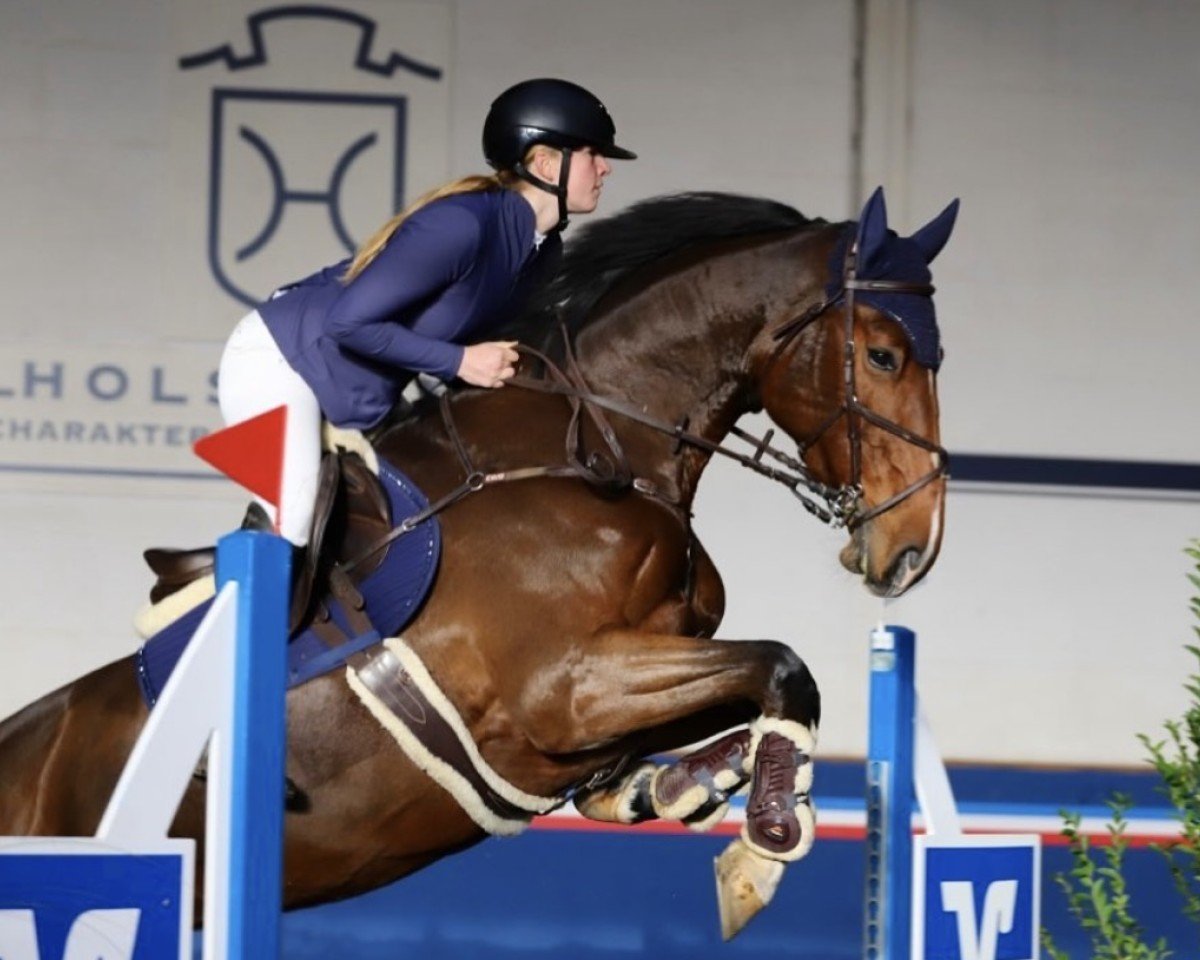 jumper Hamira Lu (Holsteiner, 2015, from Contendro I)