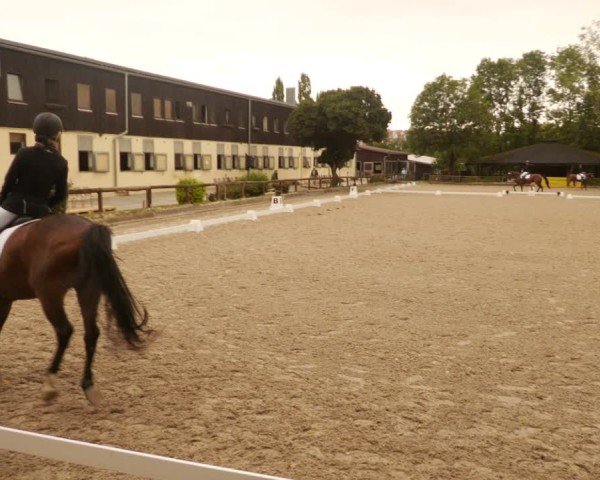 Reitturnier Leonberg 2024