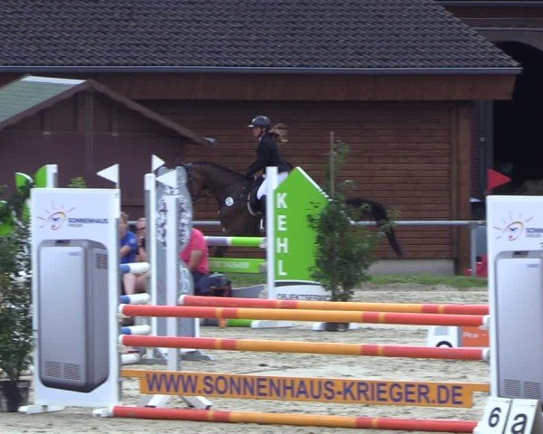 Reitturnier Dortmund-Barop 2024