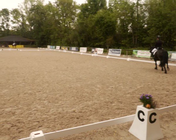 Reitturnier Leonberg 2024