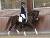 dressage horse Nilay van de Beekerheide (Nederlands Rijpaarden en Pony, 2017, from Neptune van de Beekerheide)