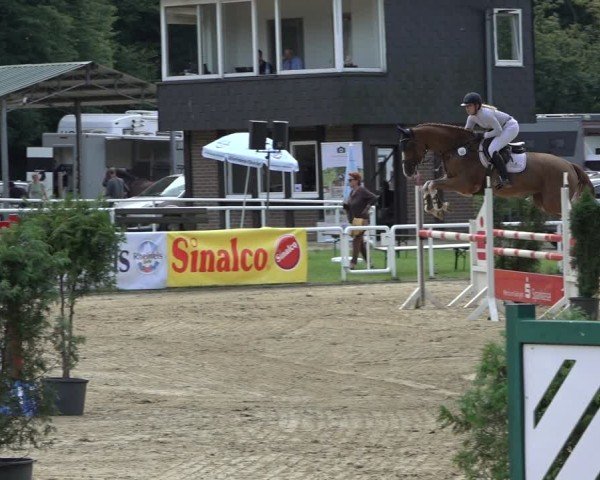Reitturnier Dinslaken-Hiesfeld 2024
