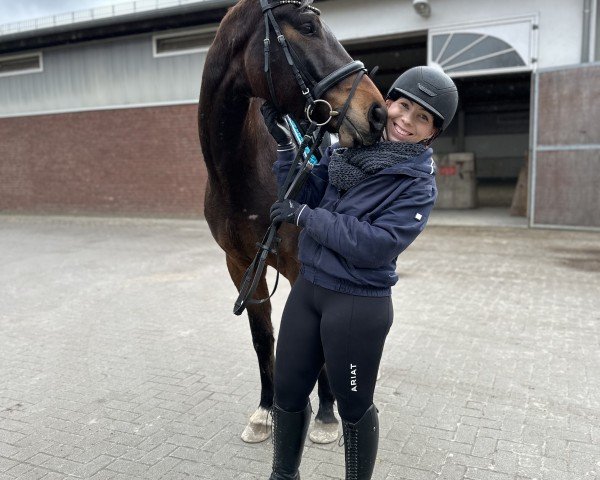 dressage horse Desideno (German Sport Horse, 2020, from De Niro Gold 3)