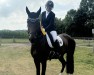 dressage horse Whatsapp BB (Oldenburg, 2017, from Spirit of The Age OLD)