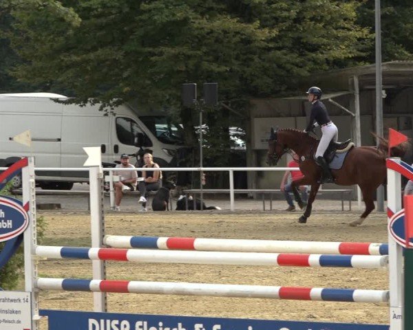 Reitturnier Dinslaken-Hiesfeld 2024
