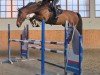 jumper Kannani (Swedish Warmblood, 2018, from Jardonnay VDL)