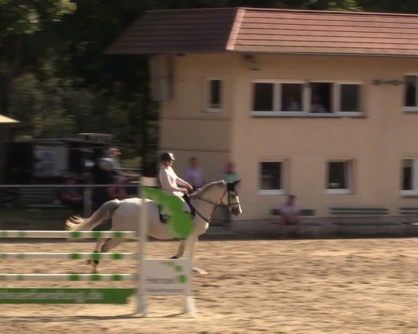 Reitturnier Lgl.-Oberhain, B95 2024